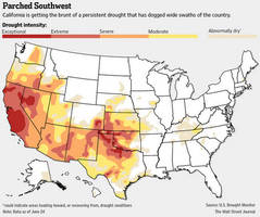It's Either Do It, Or You Die California Regulators Clamp Down On Water Waste